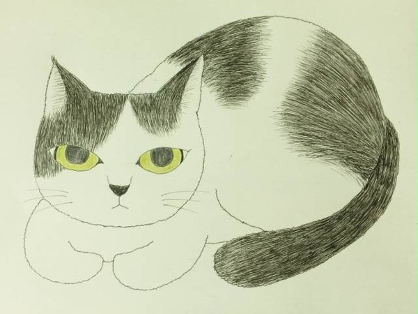 ごじゅうまる