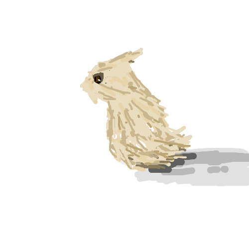 ふくろう