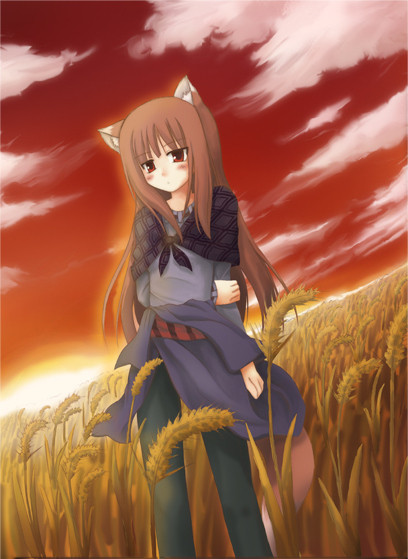 麦畑のホロさん