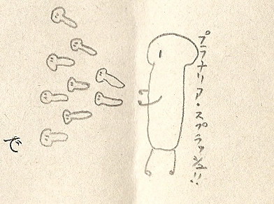 半径２０メートル