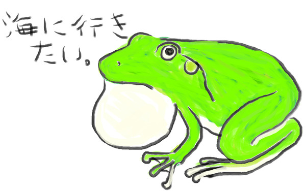 井の中の蛙