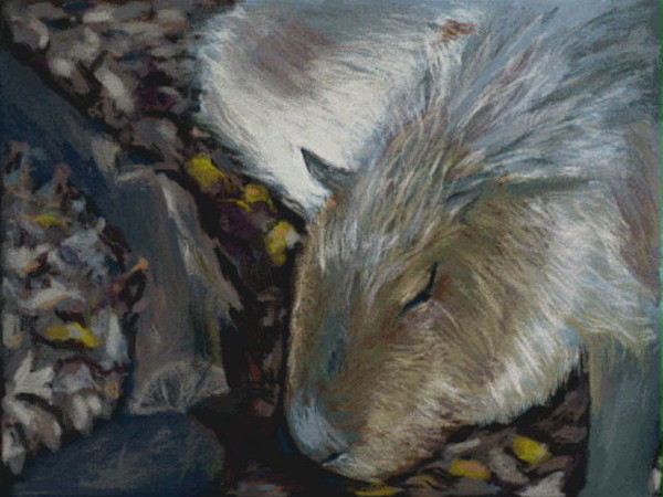 絵心教室で描いたもの　カピバラ
