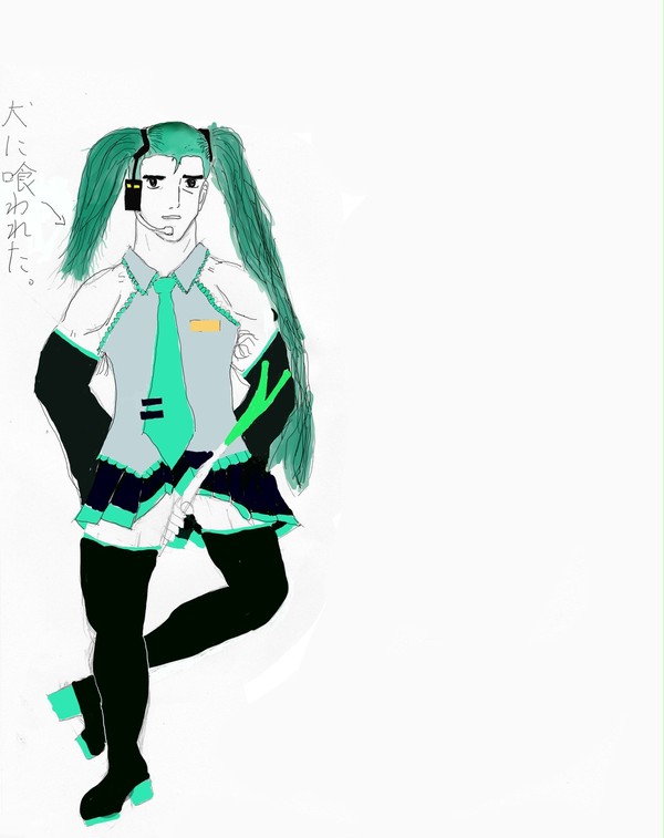 ハツネミク