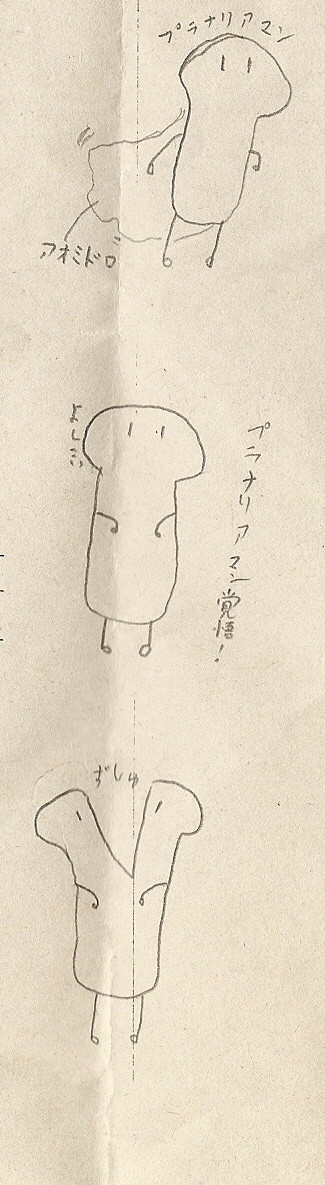 何だ？鳥か？飛行機か？