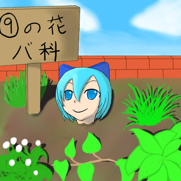 ⑨の花