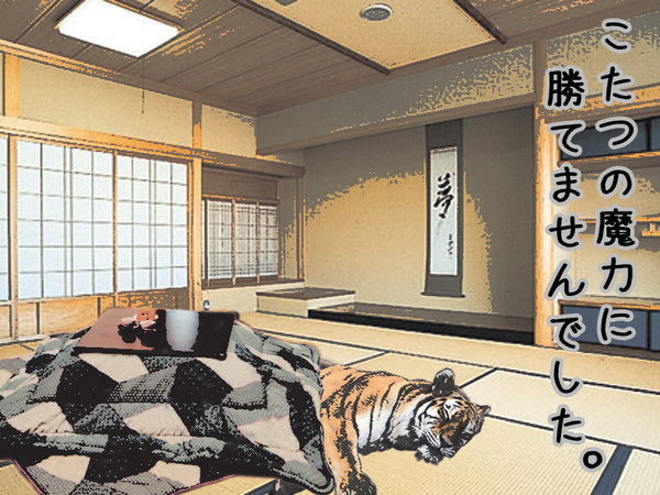 虎が不在の為、お正月中止。