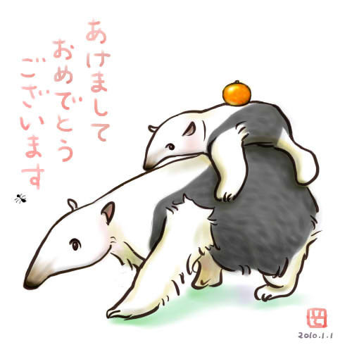 あけましておめでとうございます