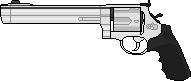 S&W M500