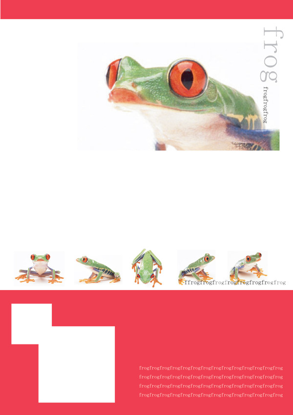 蛙のブログ