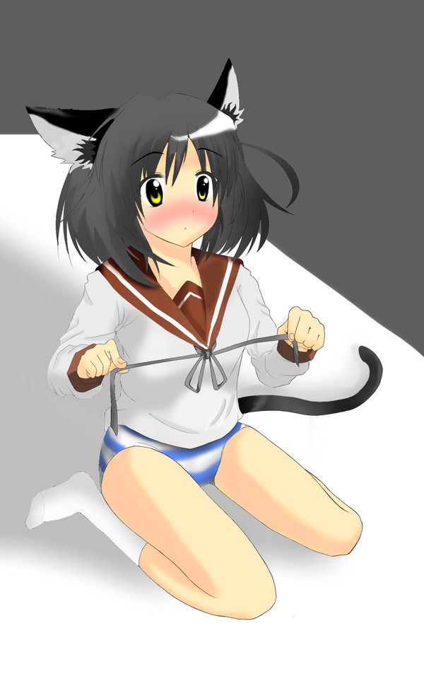 塗らせてもらいました