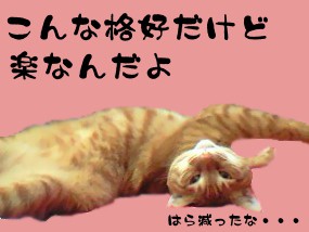 はるちゃん