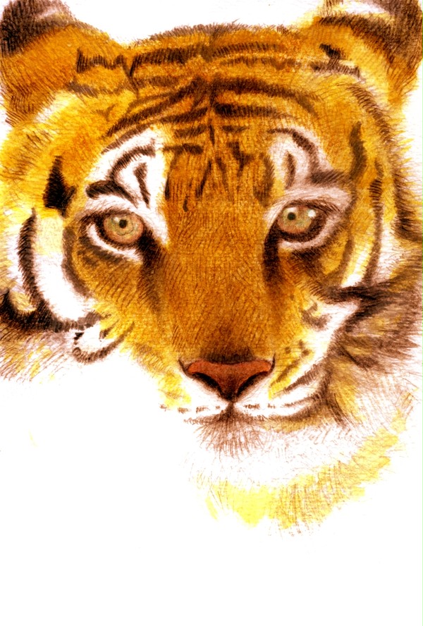2010年賀