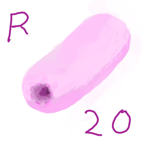 R20