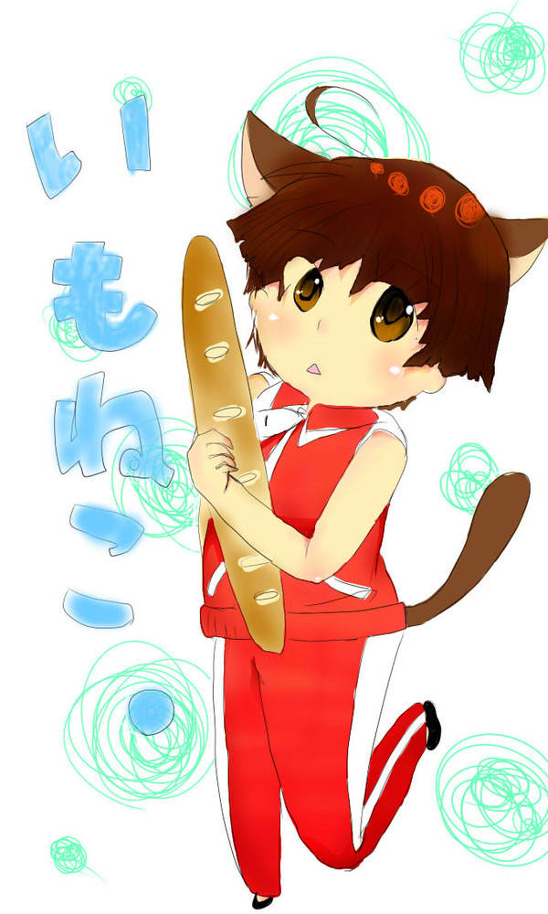 いもねこ。