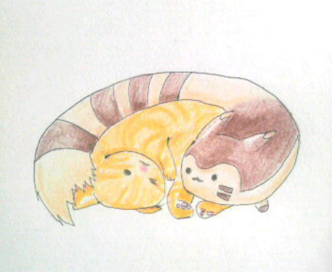 オオタチと猫