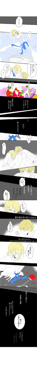 【ヘタリア】憧憬【英仏】