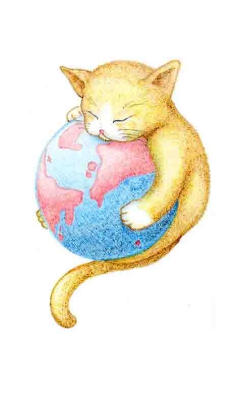 猫