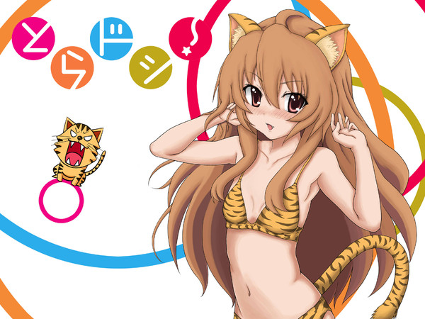 とらドシ！