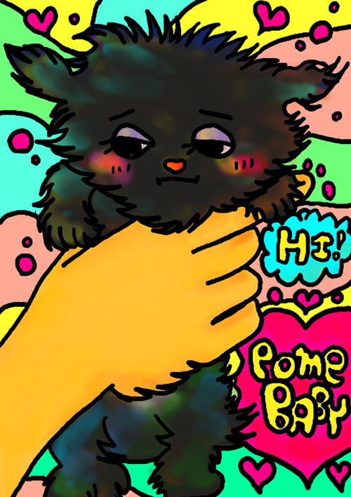 ポメラニアンの赤ちゃん