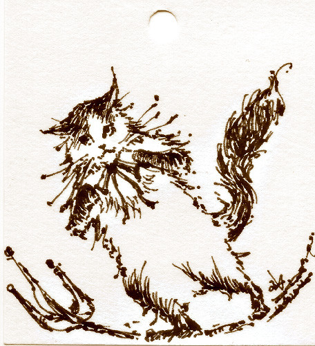紳士猫