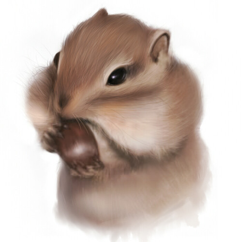 リスろう