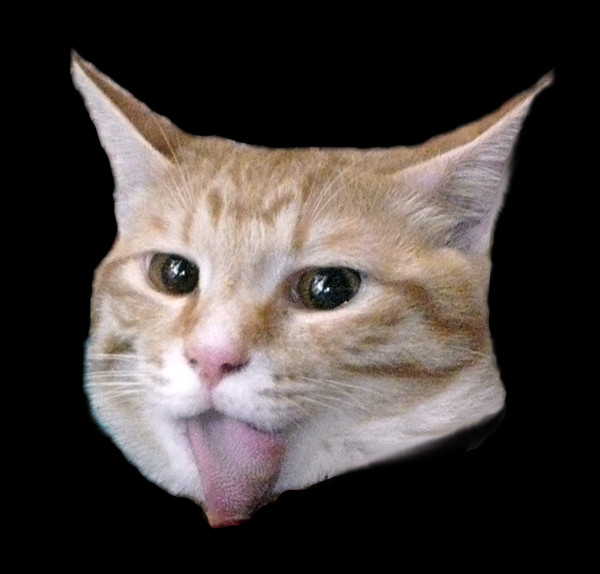 puyoboujie3