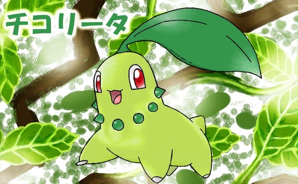 チコリータ