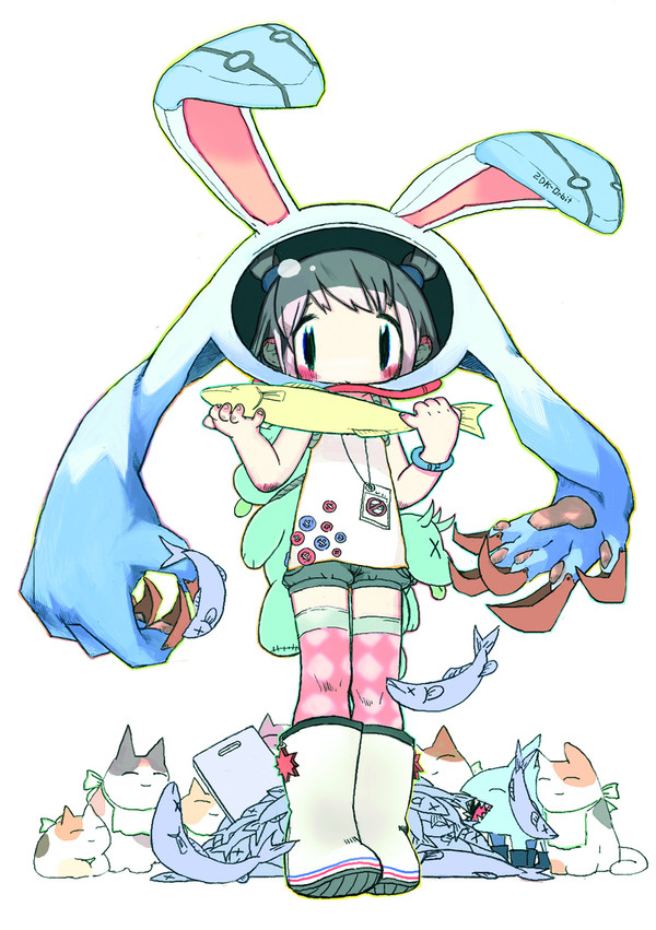 2DKorbit