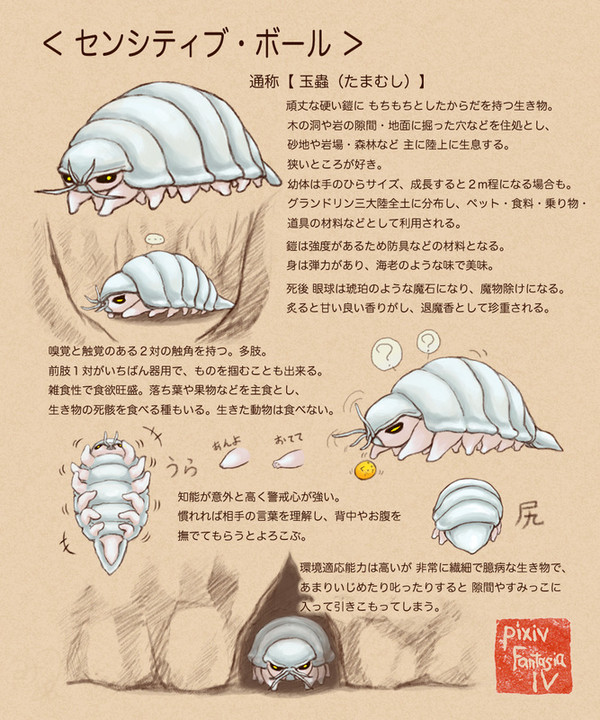 【PFⅣ】センシティブ・ボール【生き物】