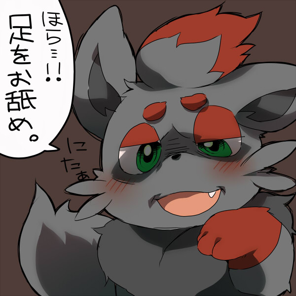 みんな大好き！ゾロア君！