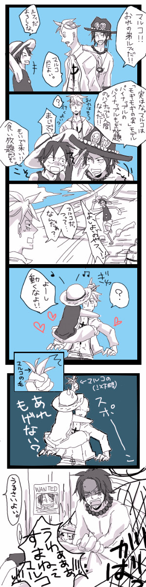 マルコだよぃ