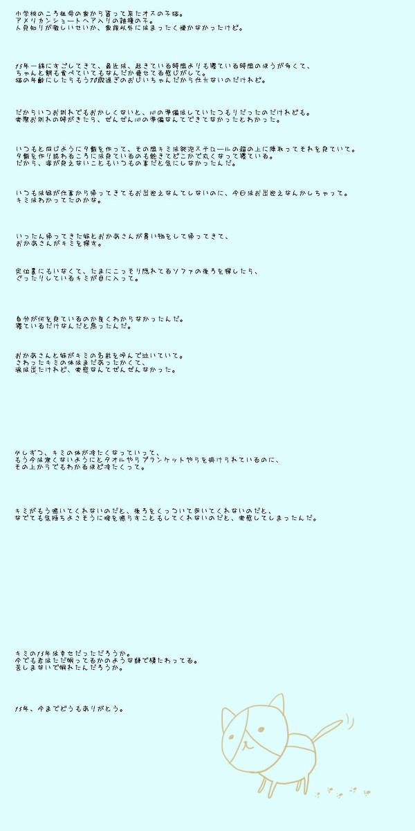 愛猫への