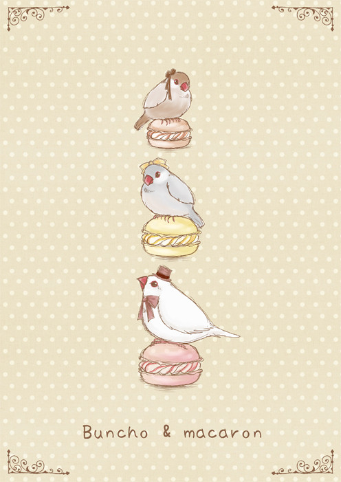 文鳥とマカロン。