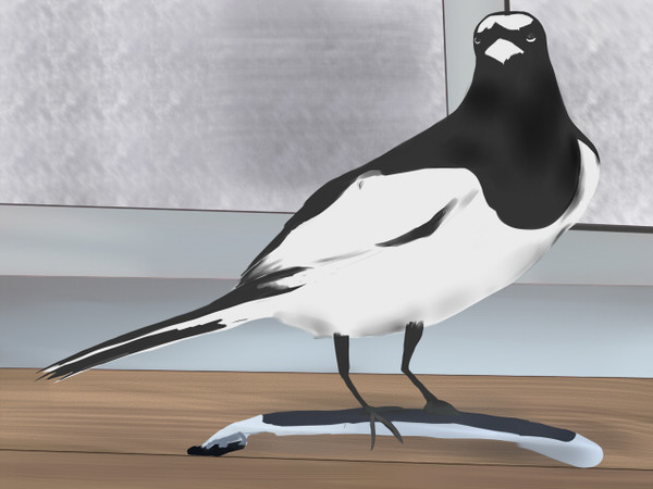 鳥