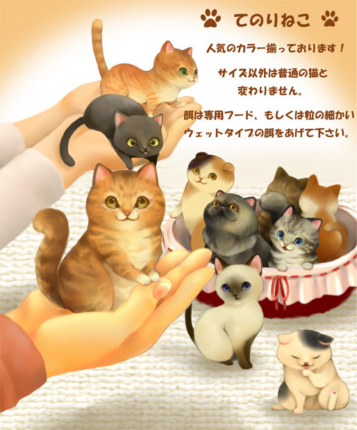てのりねこ