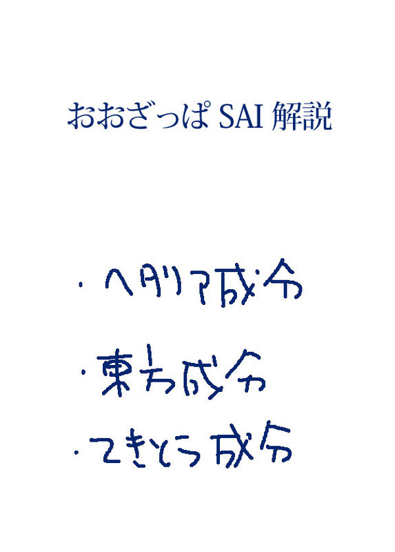【初心者向け】大雑把なSAI解説 - 1/14