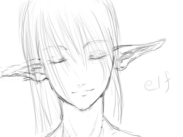 エルフ　ラフ