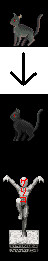 黒猫
