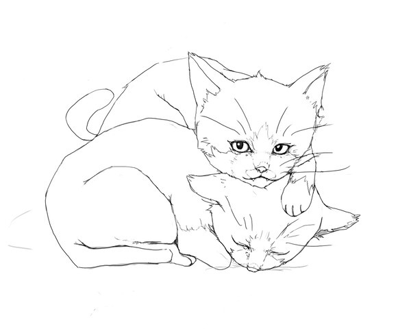 ぬっこぬこにして下さい