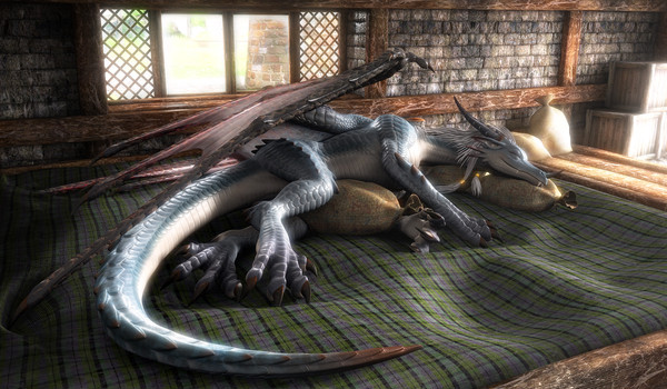 夢見るドラゴン