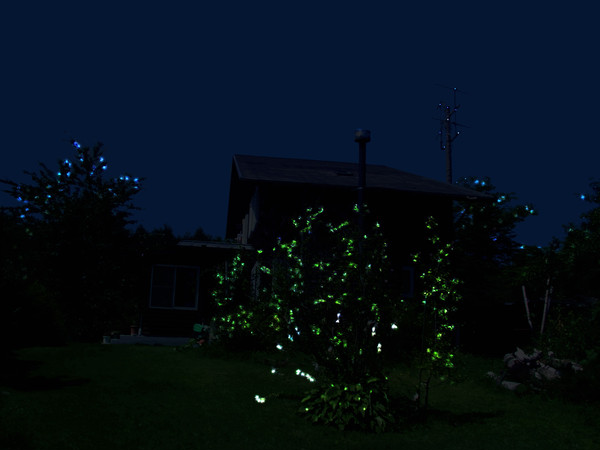夢で見た風景「陸棲夜光虫」