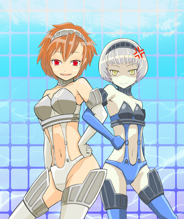 はいれぐあーま