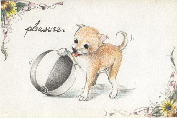 犬