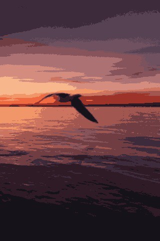 版画的な鳥