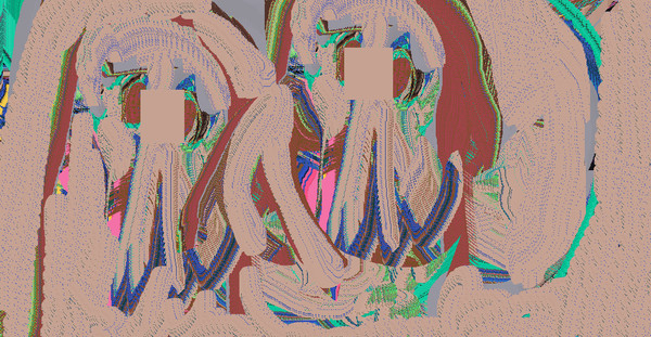 金太郎飴