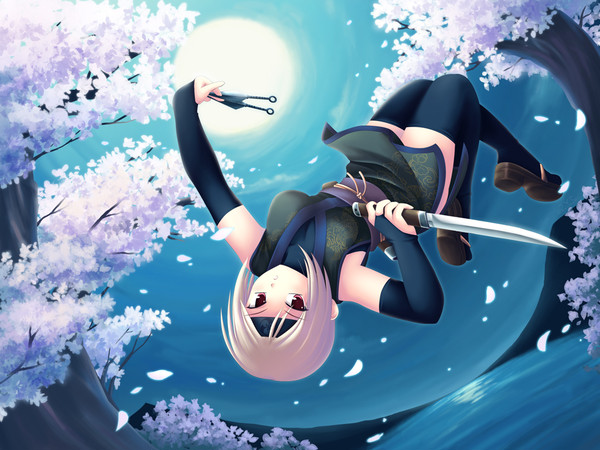 Fuyutsuki Rei Moon Blade