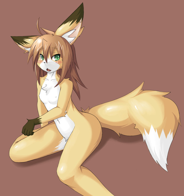 狐の娘
