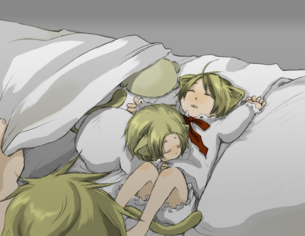 今日俺どこで寝ようかな…