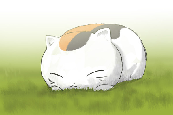 猫
