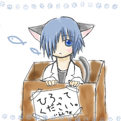ひろってください。